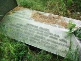 image of grave number 219746